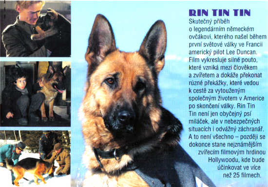 RIN TIN TIN RIN TIN TIN